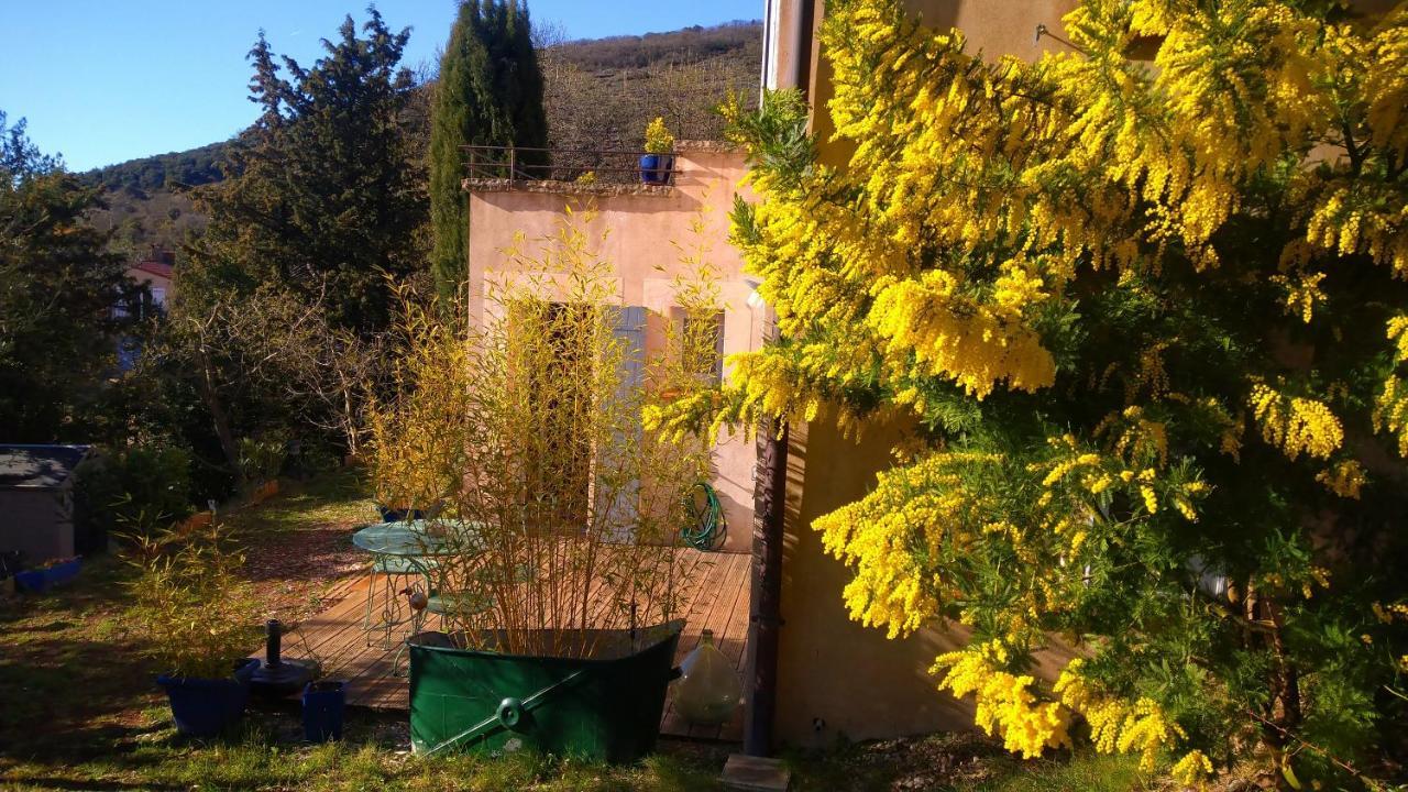 Le Chemin De Lauzieres Hotel Octon ภายนอก รูปภาพ